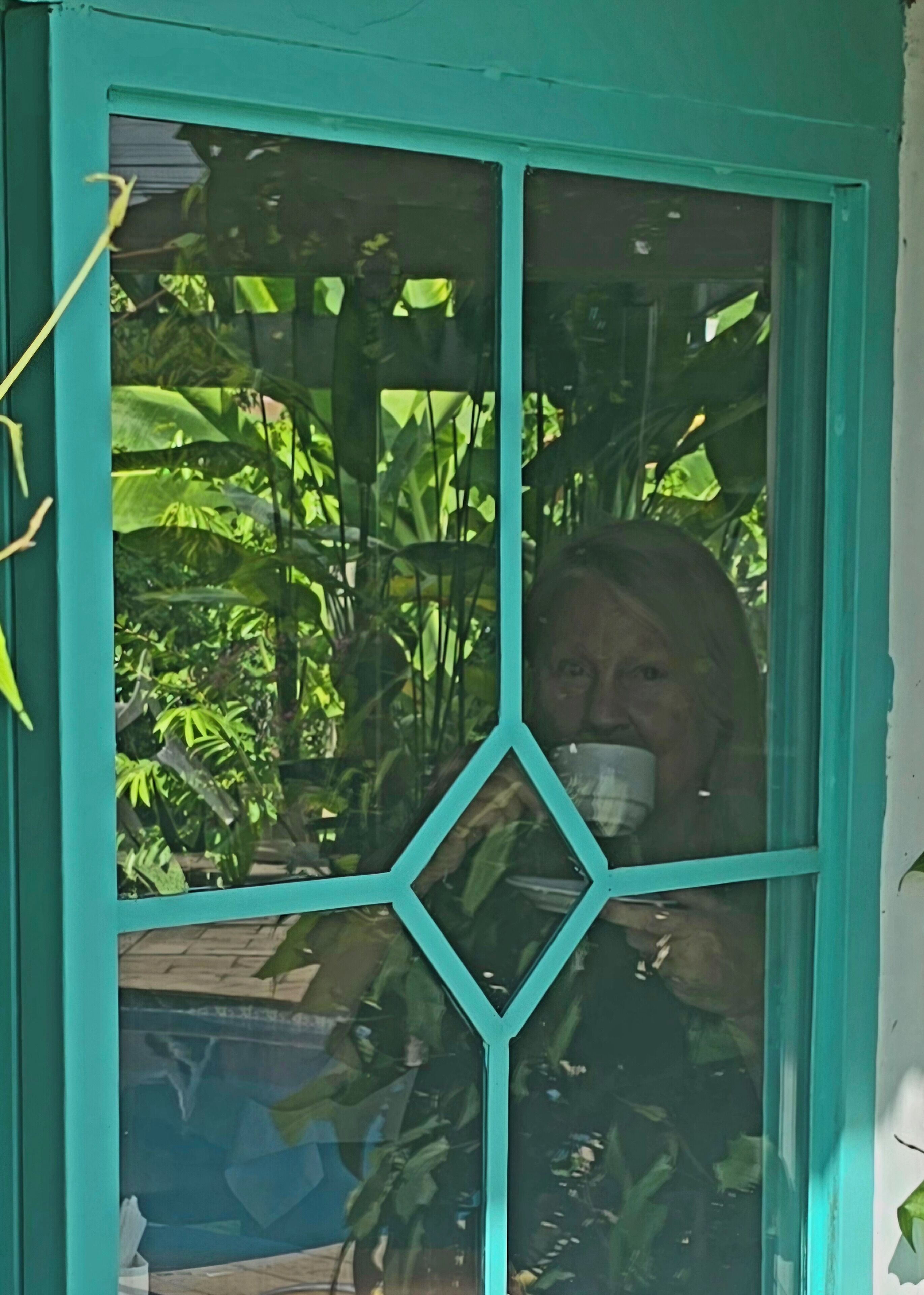 Una ventana con un diseño geométrico, una persona sosteniendo una taza y un exuberante follaje verde al fondo.