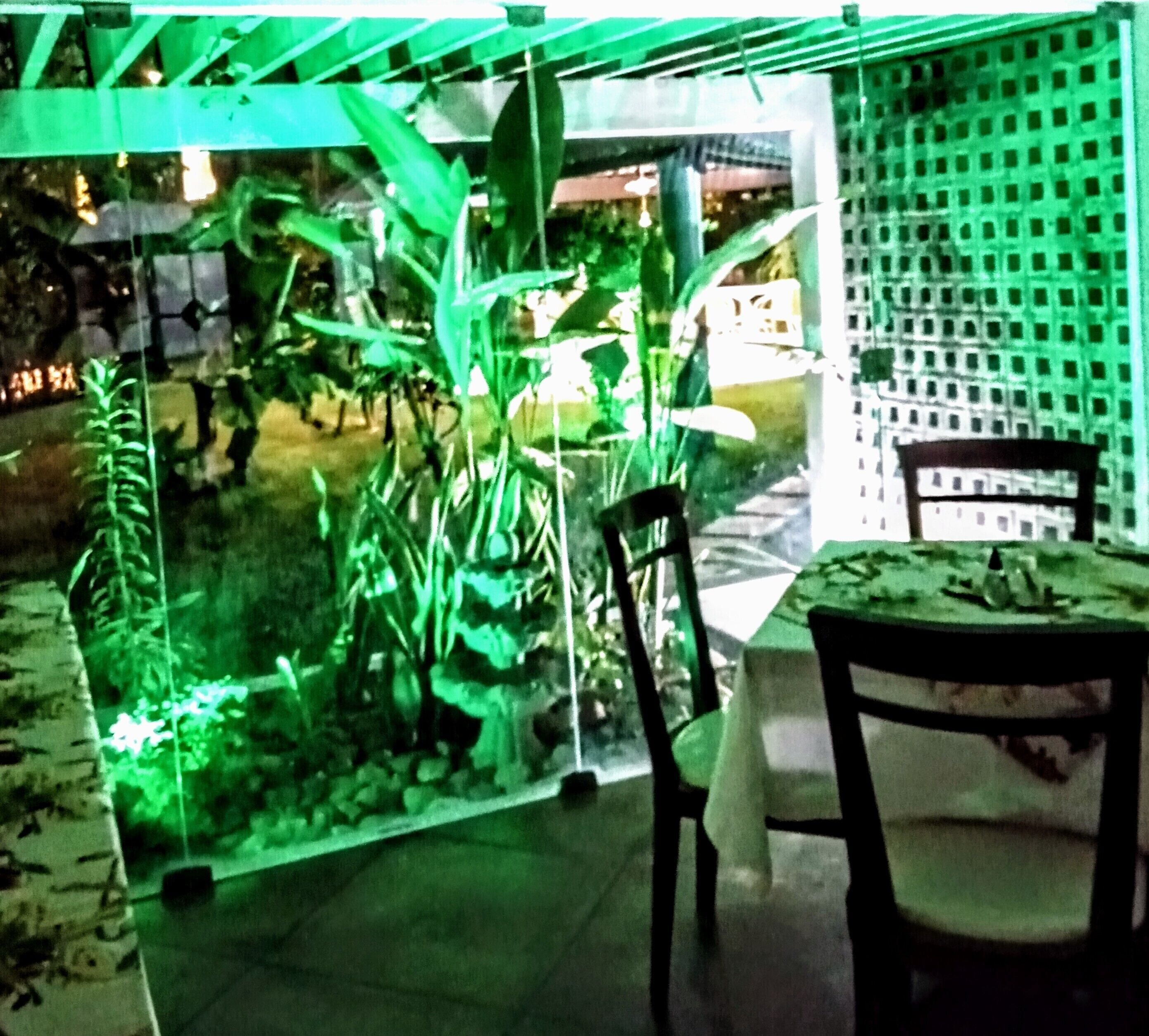 An indoor garden with a table and chairs, surrounded by plants and a green structure.