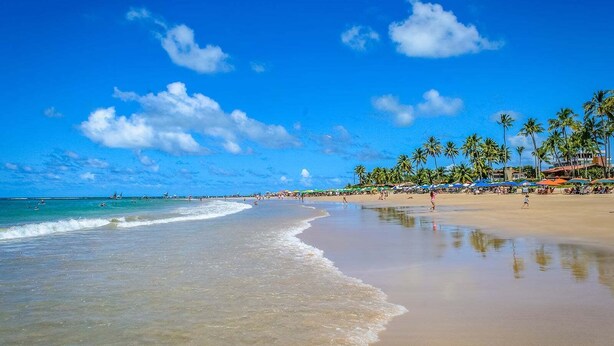 A beach with clear blue water, palm trees, and umbrellas. - Pousadar Marahú (Ipojuca)