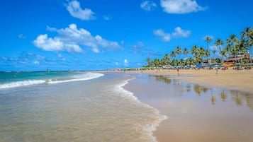 En la playa, arena blanca, 10 bares en la playa
