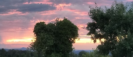 A rural road with trees and shrubs on the side, leading towards a sunset.