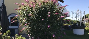 Vacation apartment near the lake