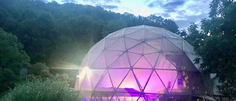 Una estructura en forma de domo geodésico, con un camino que lleva a ella, rodeada de vegetación.
