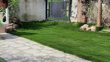 Un sentier bordé de pierres, une zone herbeuse et un arbre recouvert de plantes grimpantes.