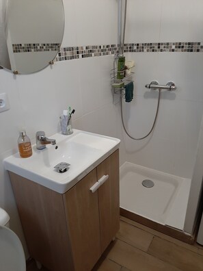 Regadera, secadora de cabello, toallas, papel de baño 