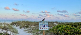 A cottage in a beautiful backyard on McPherson Bayou