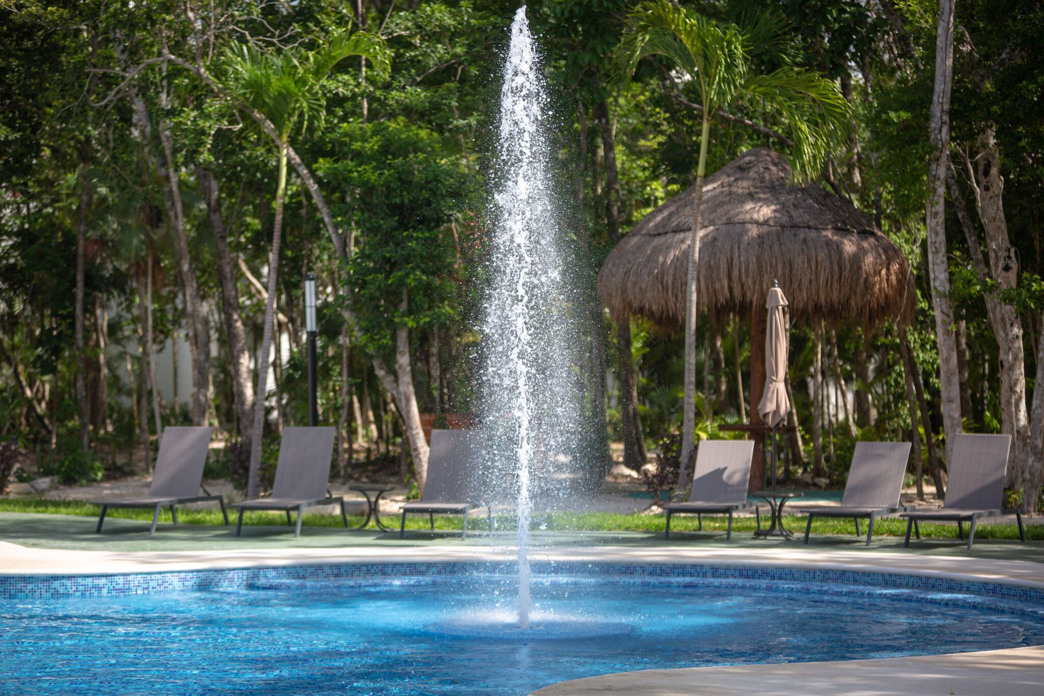 Pool area and palapas.