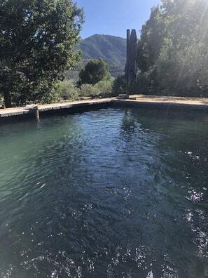 Outdoor pool - New stone and wood house with swimming pool (Les Vans)
