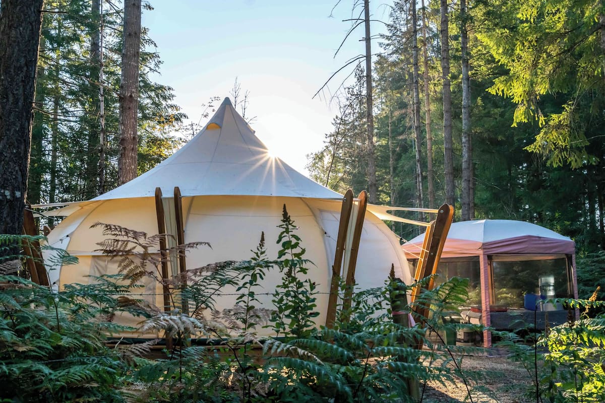 A tent in a forest with a smaller structure nearby.