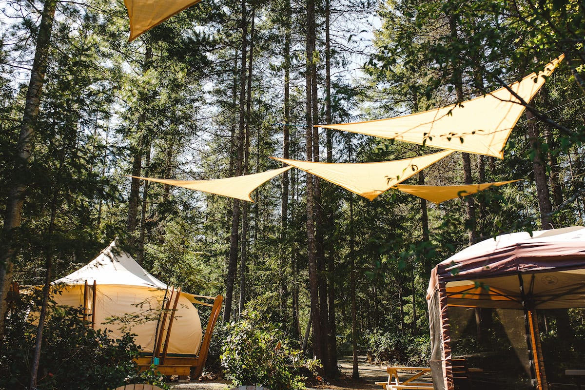A forested campsite with multiple tents and hanging sunshades.