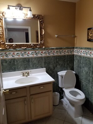 Bathtub, hair dryer, bidet, towels