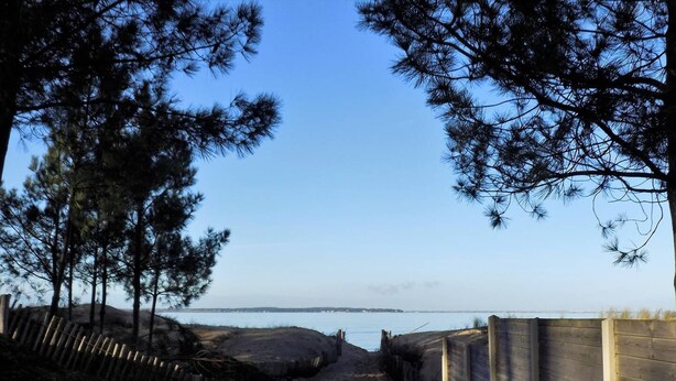 Un sentiero di legno conduce a una spiaggia, affiancato da alberi e da una recinzione di legno.