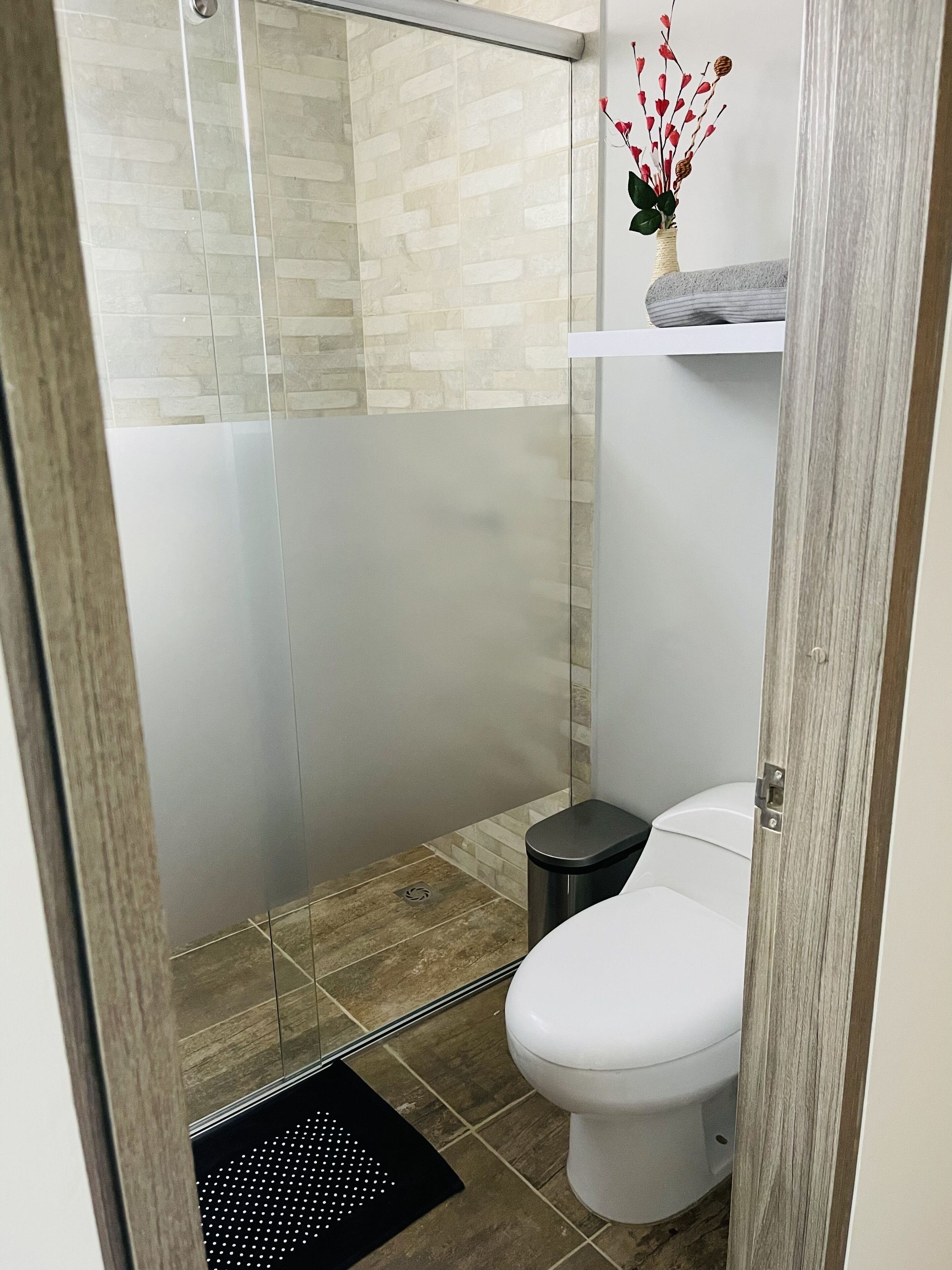Shower, towels, toilet paper