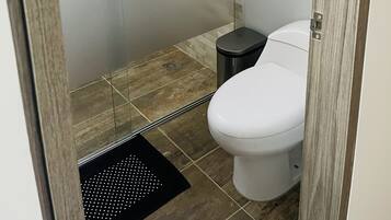 Shower, towels, toilet paper
