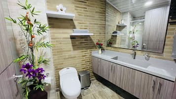 Shower, towels, toilet paper