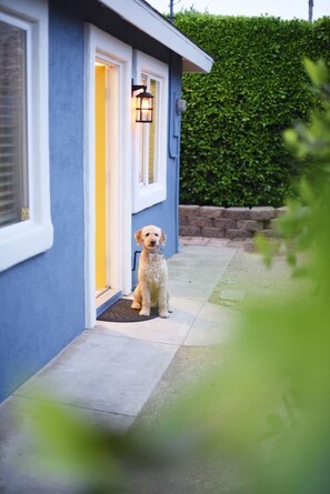 المنطقة المحيطة بالمنشأة