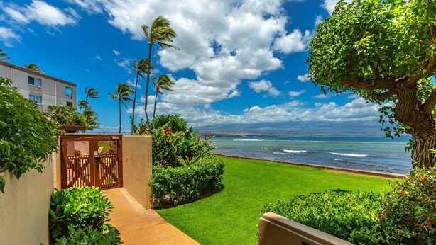 A coastal view with a paved pathway leading to a grassy area, palm trees, and a building in the background. - Ma'alaea studio just a few steps from the ocean, beach, and harbor. (Wailuku)