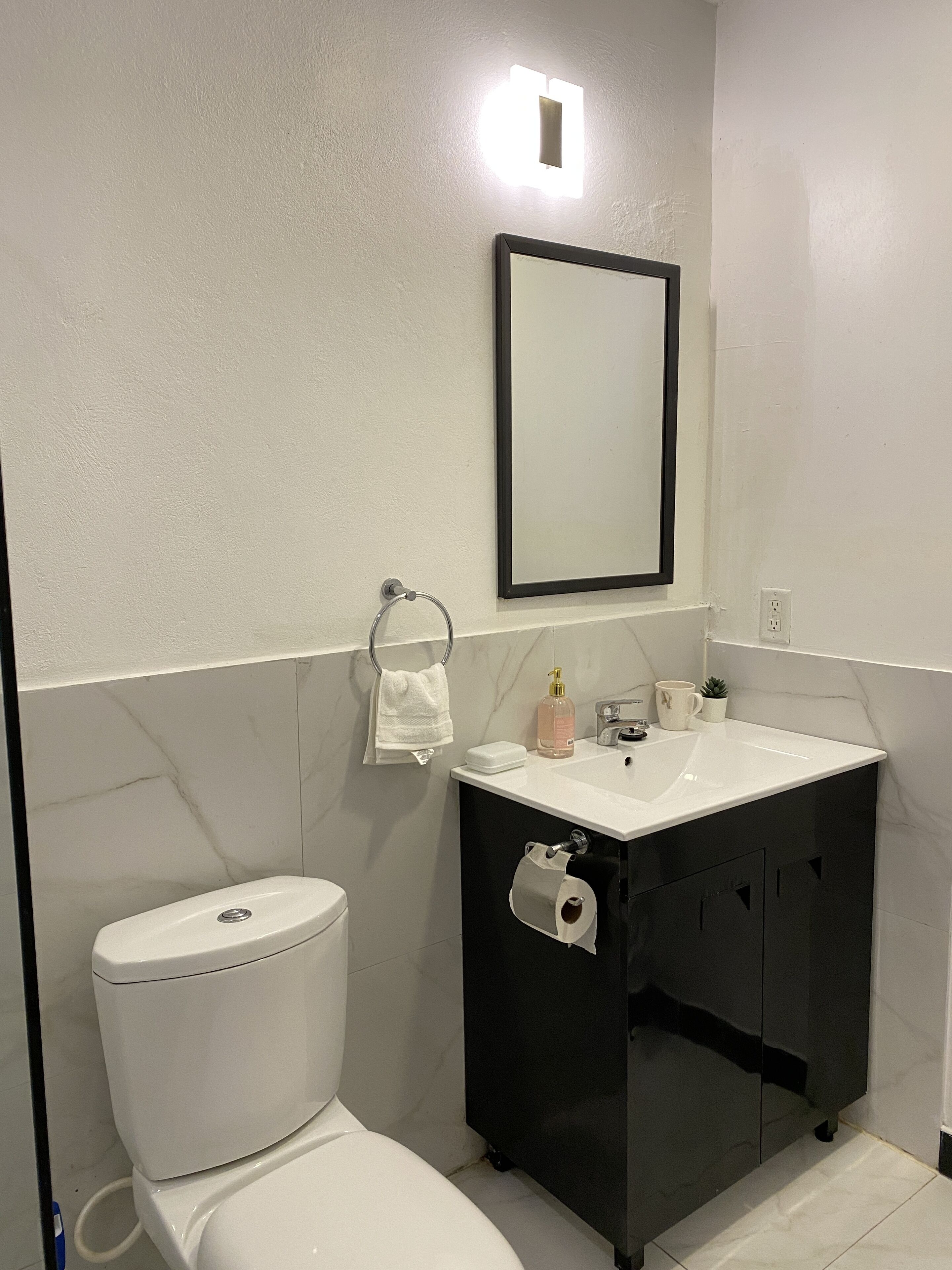 Shower, hair dryer, bidet, towels