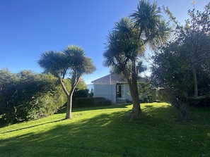A house with a well-maintained lawn, palm trees, and a clear blue sky. - Amazing views! 5 mins to beach (Dunedin)