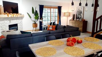 Smart TV, fireplace, books