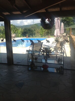 Outdoor pool - Country House (Amparo)