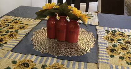 Sunflower Dazeđ» -35 min to beach-FAST wifi-kitchen