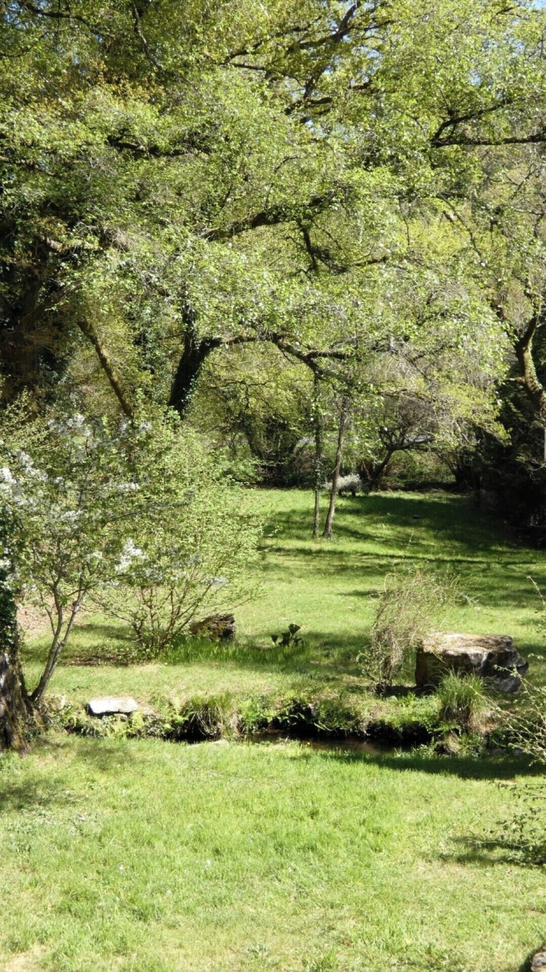 Un jardin luxuriant, avec différentes espèces d’arbres et un petit ruisseau.
