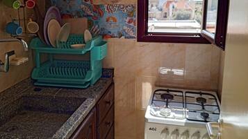 Fridge, oven, cookware/dishes/utensils, paper towels