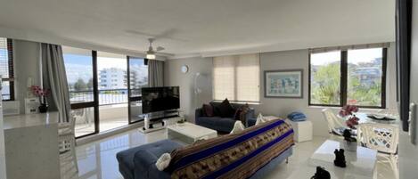 Smart-TV, DVD-Player