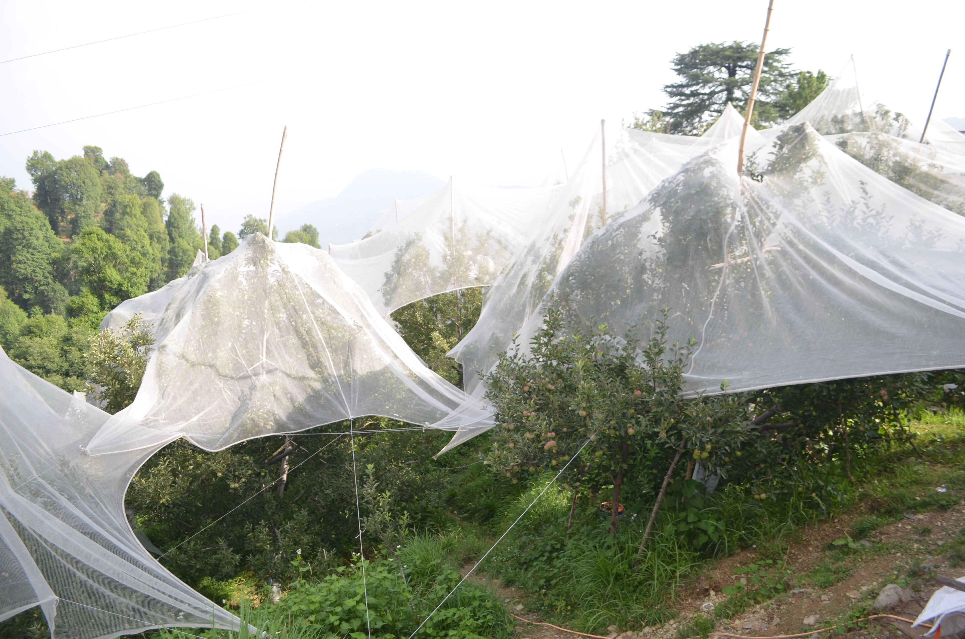 施設からの眺望