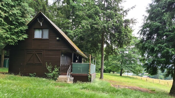A rustic wooden cabin with a steeply pitched roof, surrounded by lush greenery and trees. - Idyllic vacation home in the middle of nature (Neunkirchen)