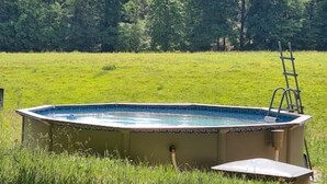 A small, rectangular swimming pool with a ladder on one side, surrounded by grass and trees. - Idyllic vacation home in the middle of nature (Neunkirchen)