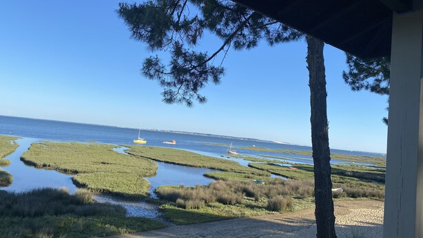 A coastal view with a sandy beach, grassy marshland, and a clear blue sky. - Villa 10 persons, first line, Lège Cap Ferret (Lège-Cap-Ferret)