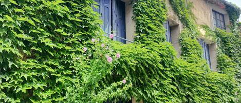 Details aan de buitenkant