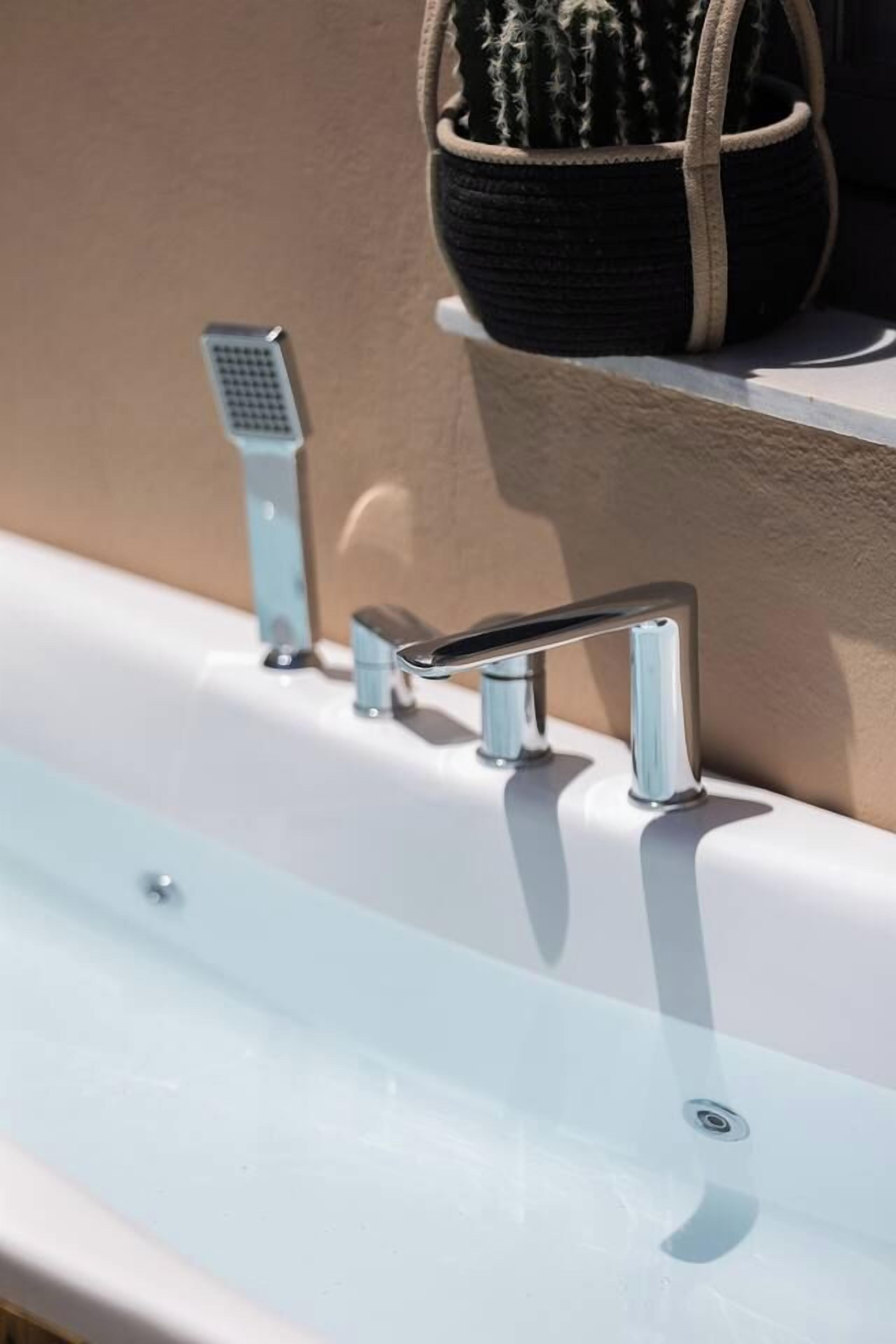 A bathroom with a white sink, chrome faucets, and a small potted cactus.