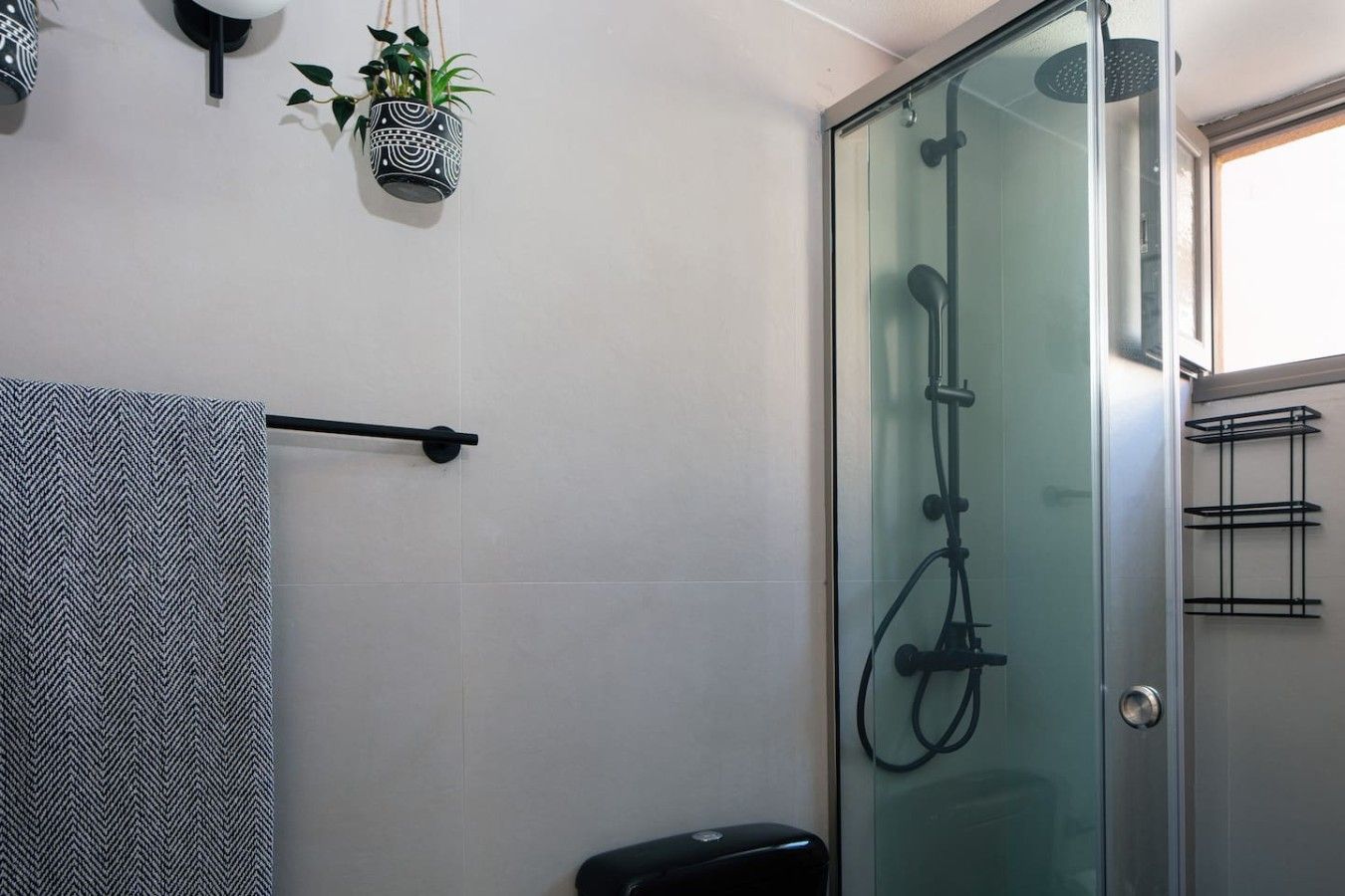 A modern bathroom with a glass shower enclosure, a towel rack, and a potted plant.