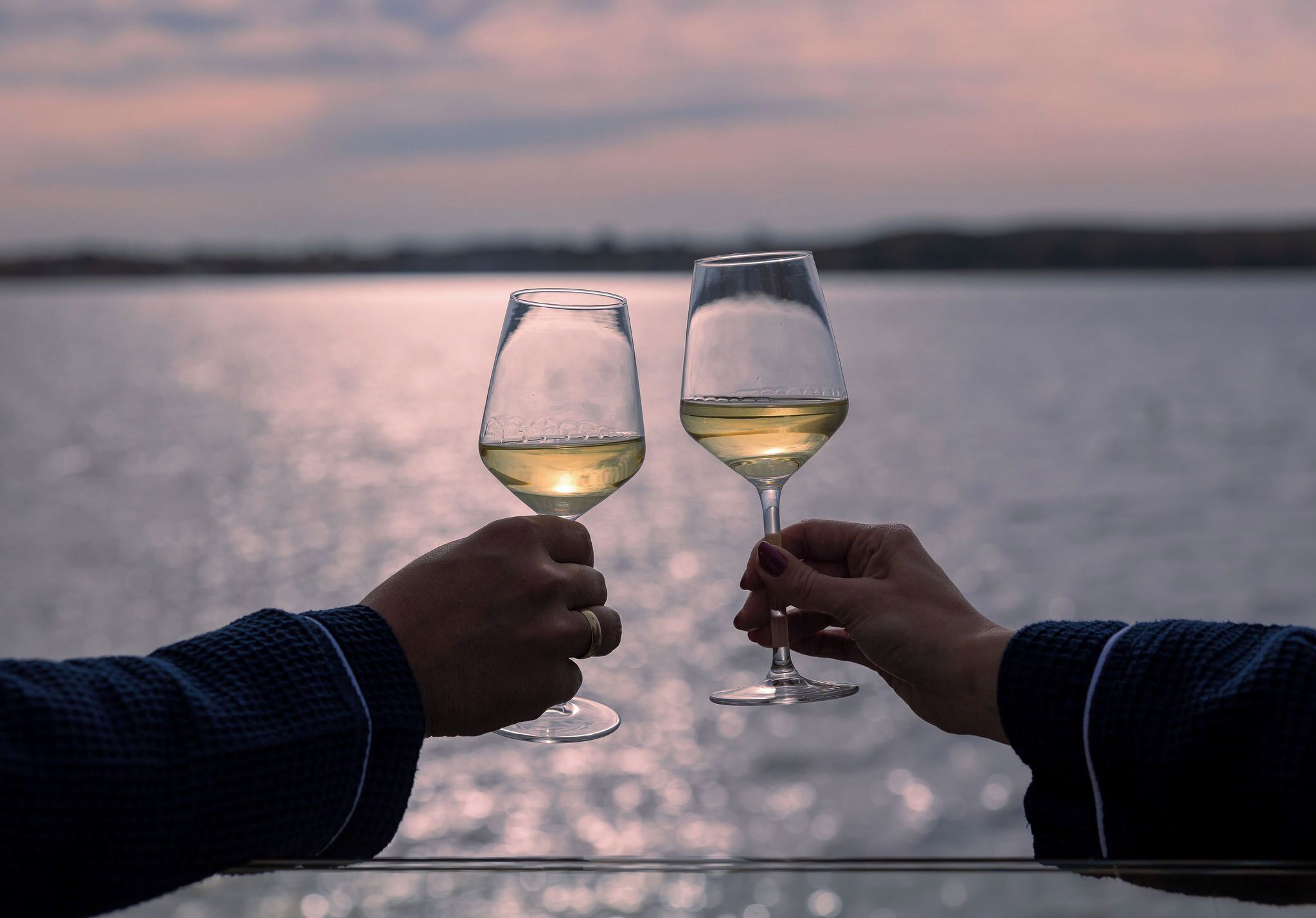 Two hands holding wine glasses with a body of water and a cloudy sky in the background.