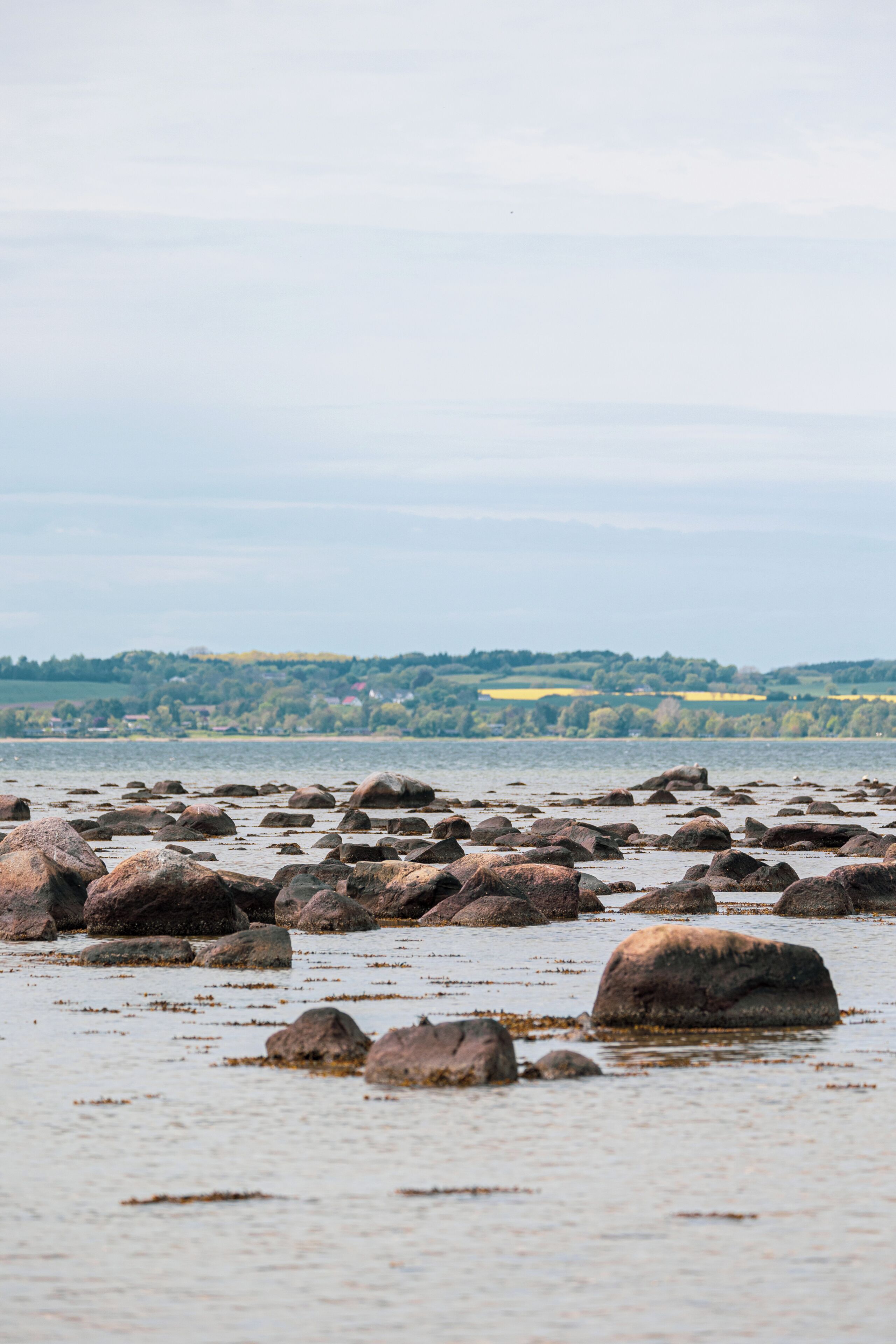 Un rivage rocheux offrant une vue sur des collines et des bâtiments situés au loin.