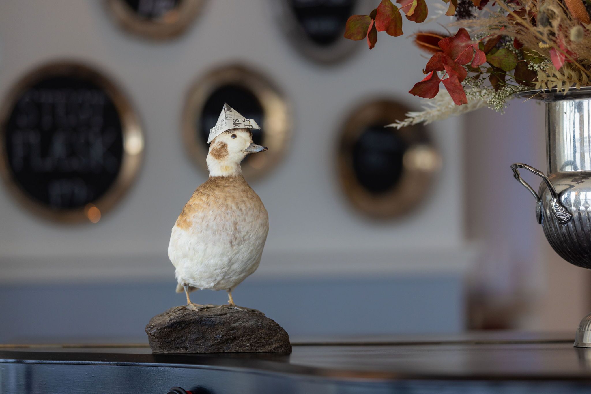 Un pájaro sobre una roca con un jarrón decorativo y placas en la pared al fondo.