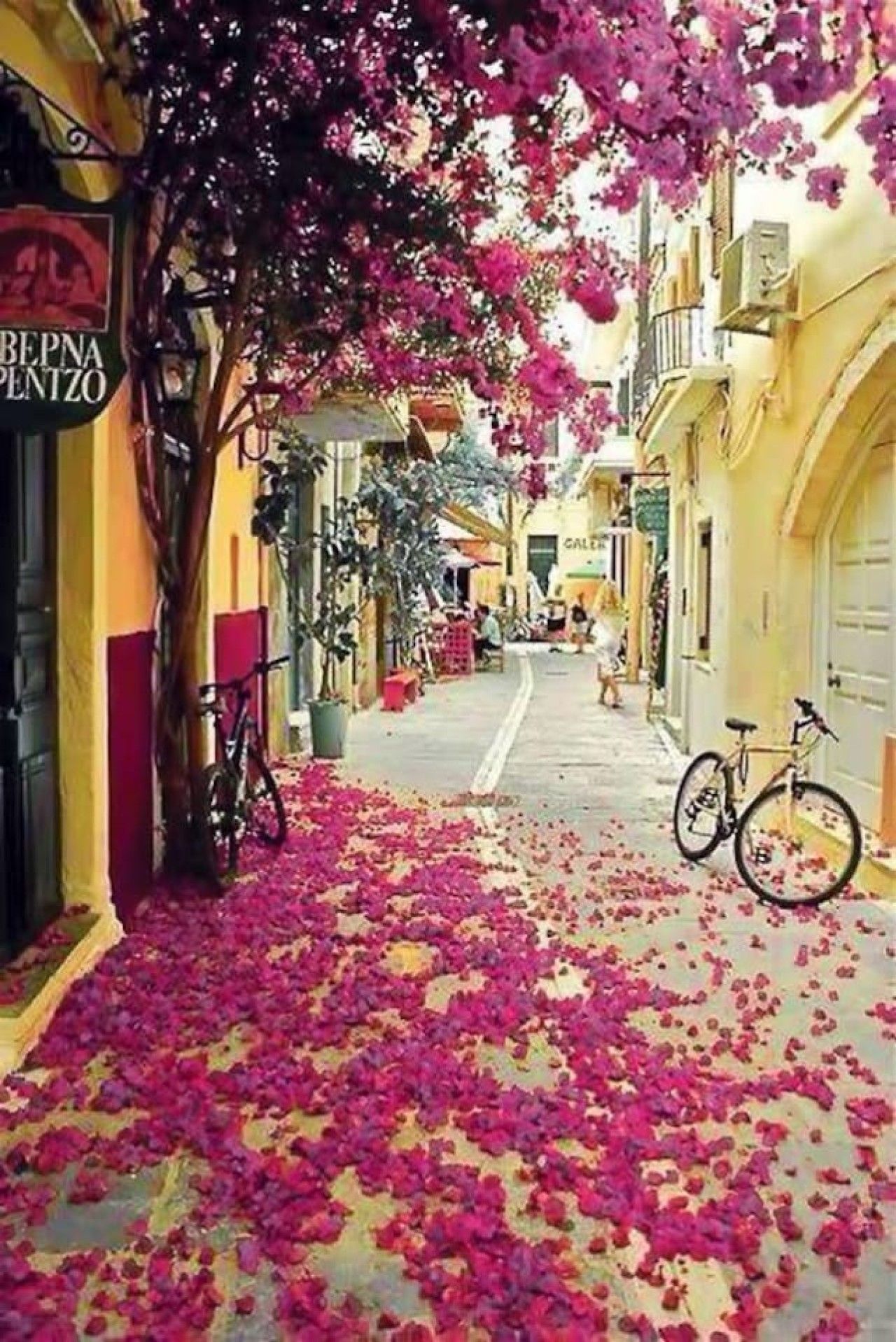A street with buildings on either side, a bicycle parked on the sidewalk, and a tree with pink flowers.