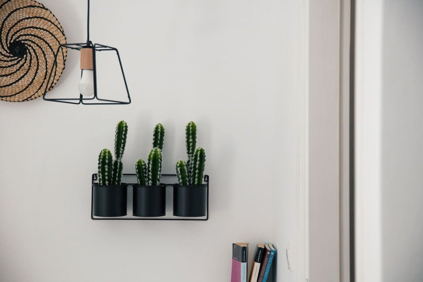 A wall-mounted plant holder with three cacti, a woven wall hanging, and a pendant light.