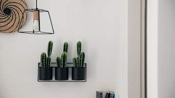 A wall-mounted plant holder with three cacti, a woven wall hanging, and a pendant light.