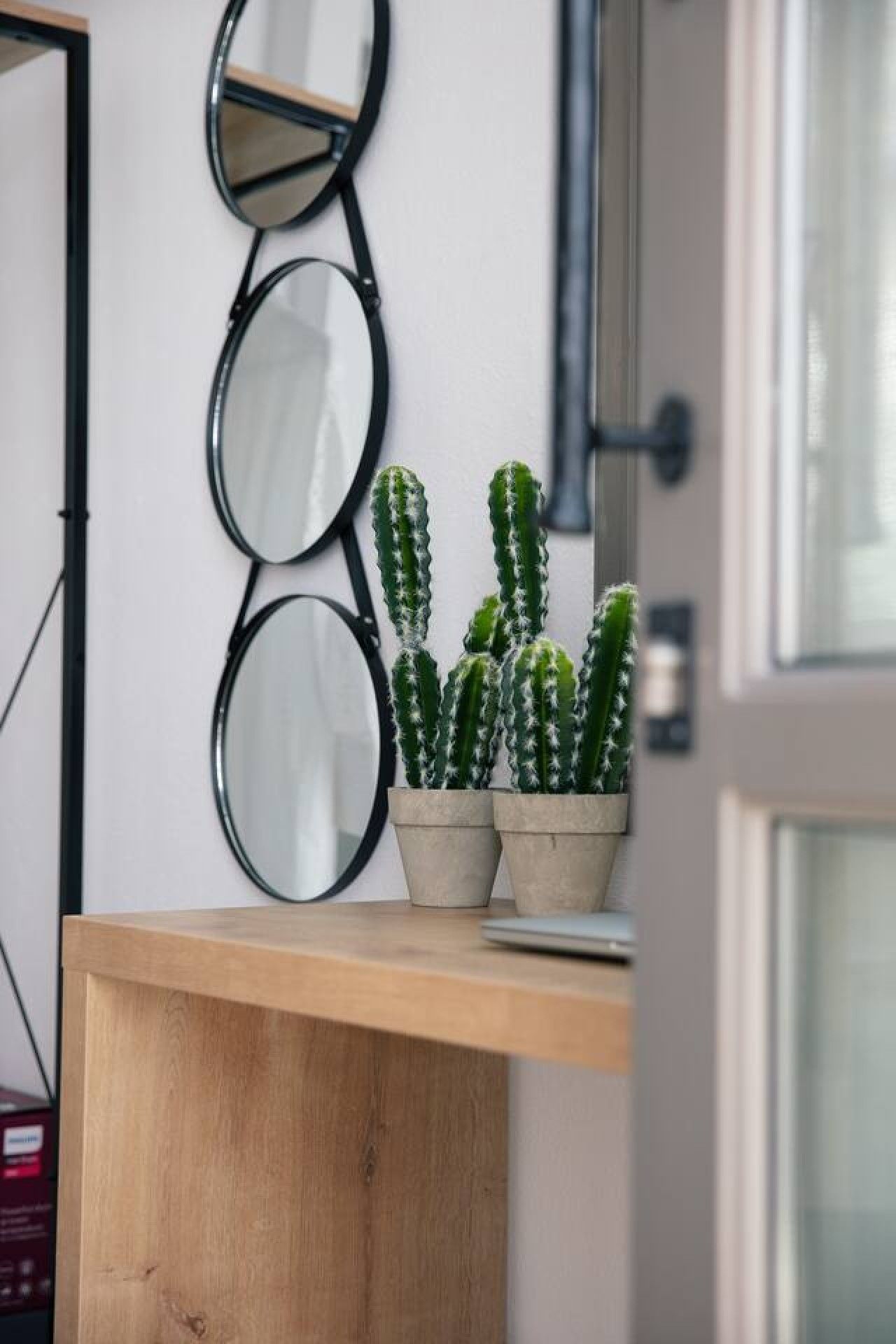 Un escritorio de madera con tres cactus en macetas frente a una pared con espejos circulares.
