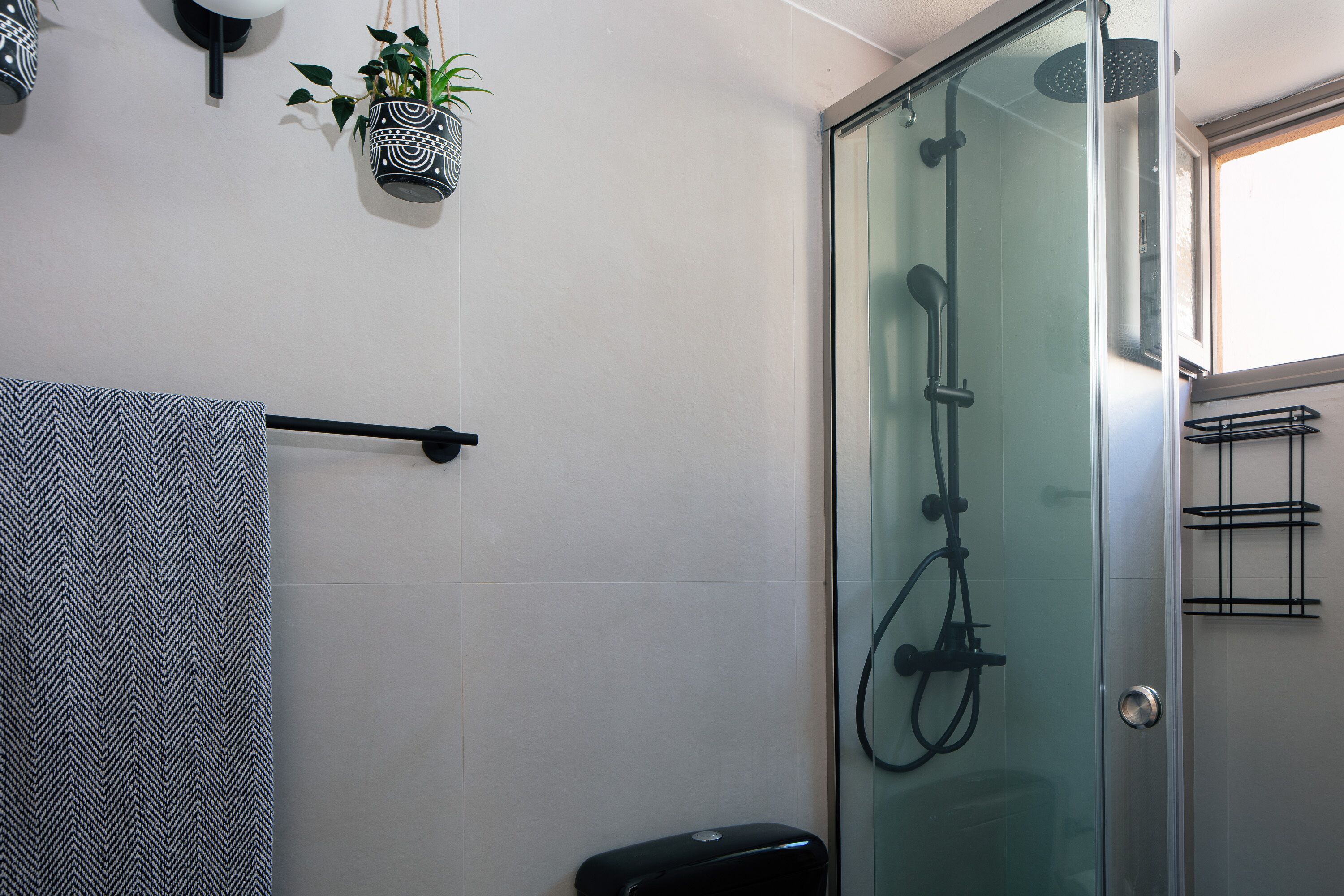 A modern bathroom with a glass shower enclosure, a towel rack, and a potted plant.