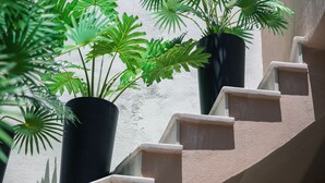 行政开间套房