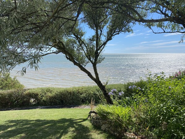 Property grounds - Villa Le Largue, Saint-Georges-de-Didonne (Saint-Georges-de-Didonne)