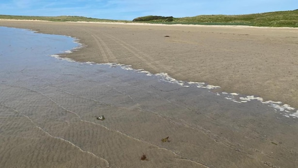 Una playa con arena mojada y cielo despejado.