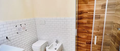 Shower, hair dryer, bidet, towels