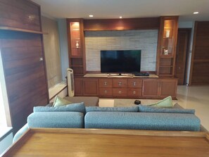 TV, DVD player, books, video library