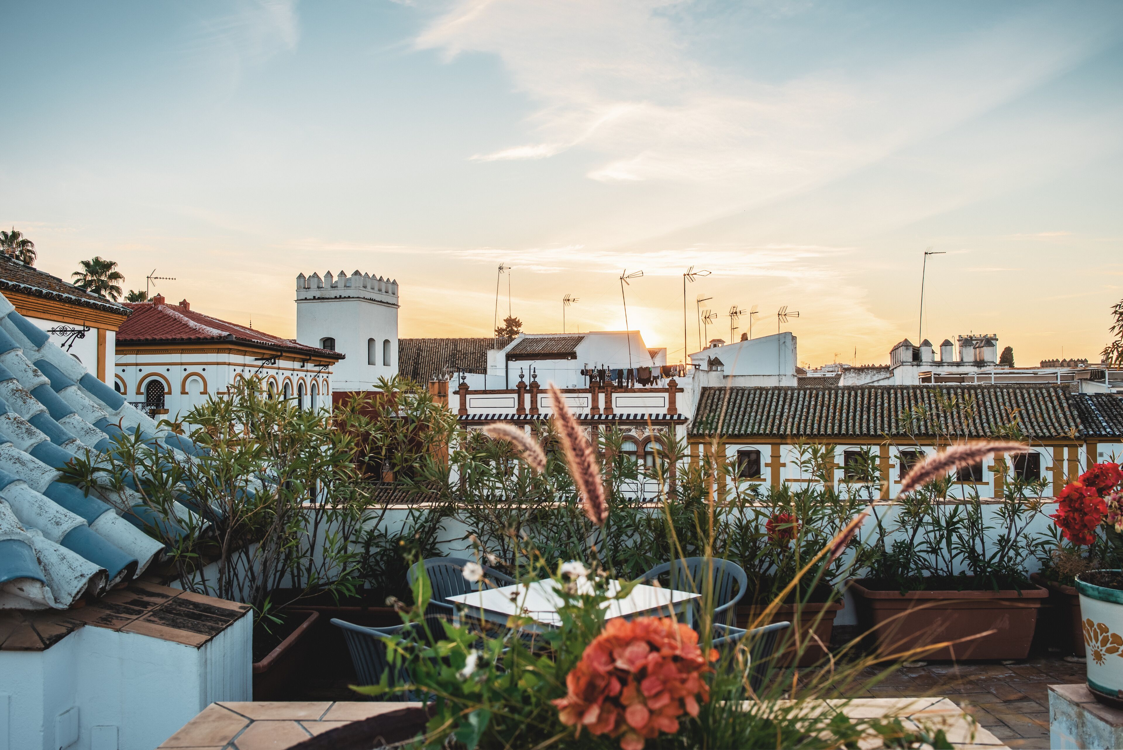 A rooftop terrace with potted plants, a table, and chairs.